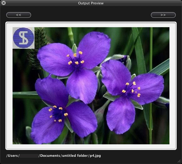 Preview watermark effect in Star Watermark Free