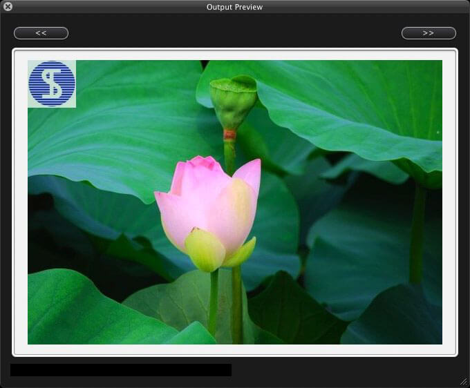 Preview image watermark effect in Star Watermark